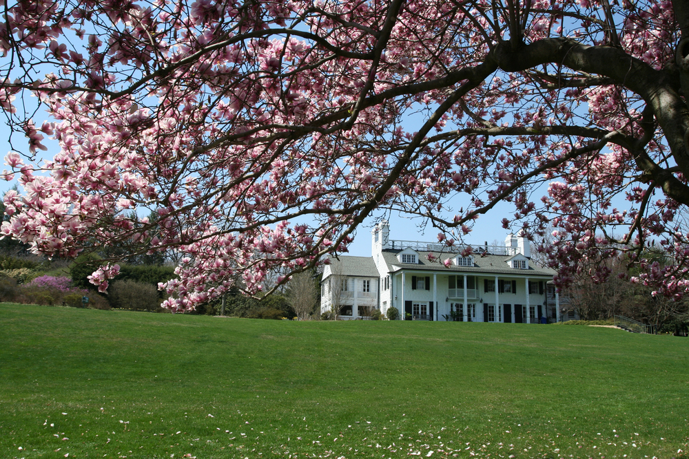 Westchester County, NY, Lasdon Park